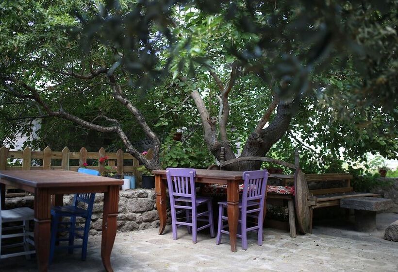 Assos Akropol Pansiyon