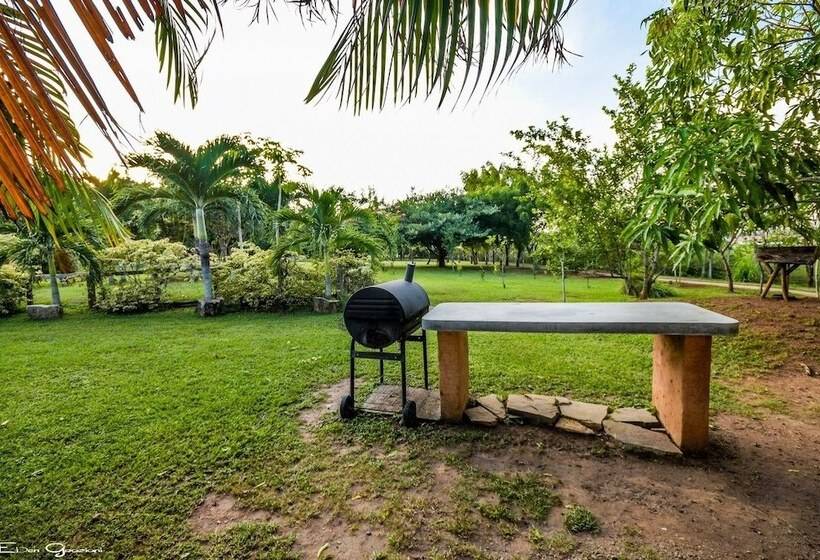 Bed and Breakfast Casa Lajagua