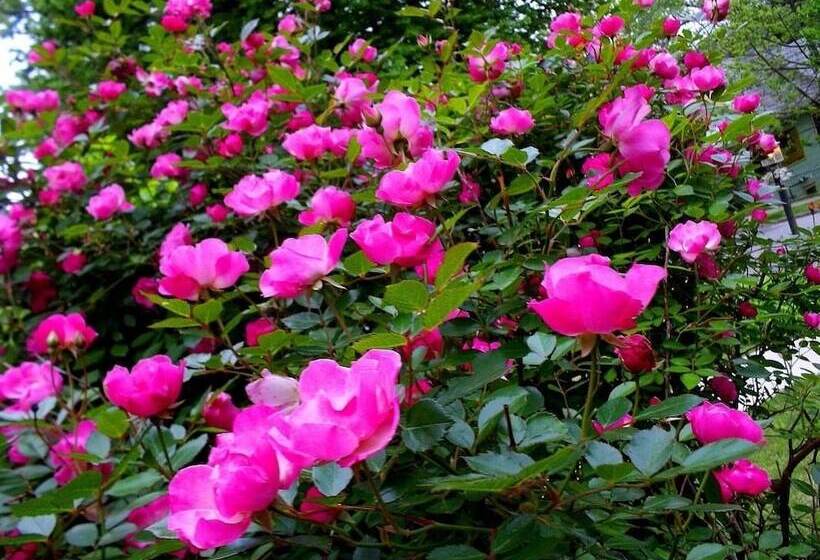 مبيت وإفطار Historic Iron Horse Inn