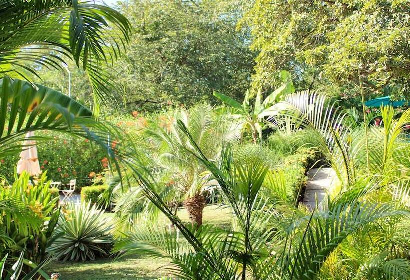 ベッドアンドブレックファースト Tee K Lodge