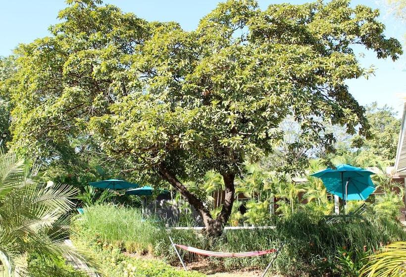 ベッドアンドブレックファースト Tee K Lodge