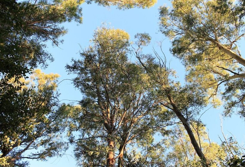 Cabañas El Algodonal