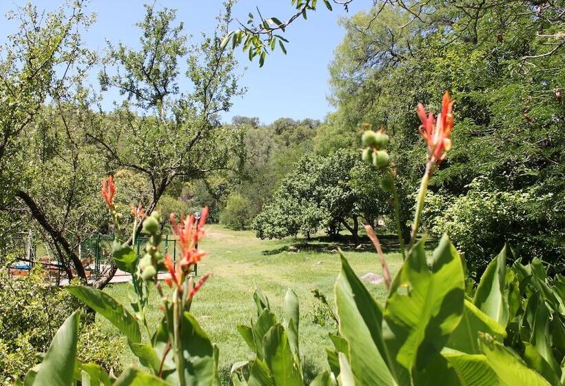 Cabañas El Algodonal