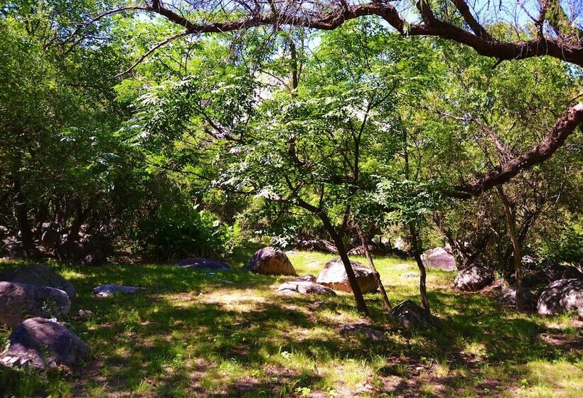 Cabañas El Algodonal