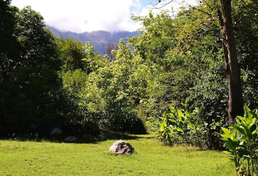 Cabañas El Algodonal