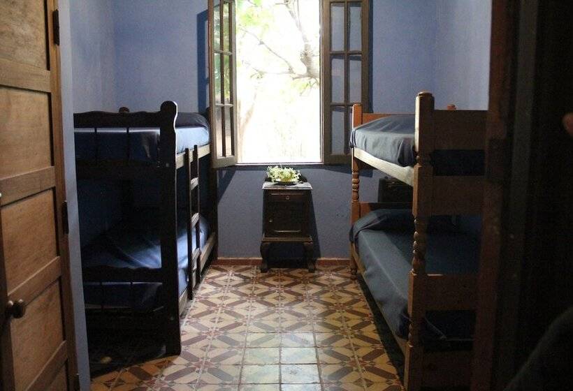 Casa Latina   Hostel