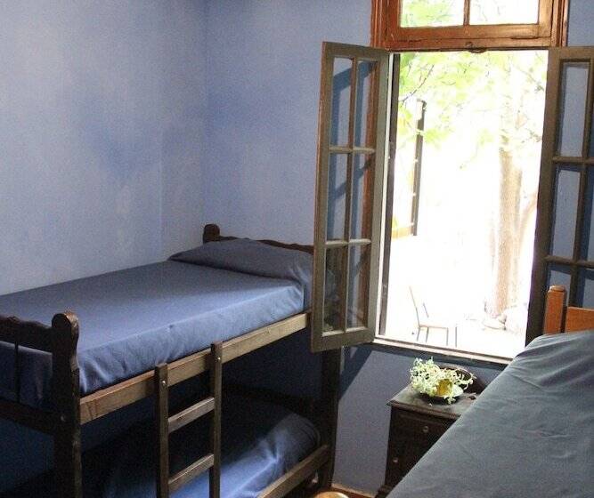 Casa Latina   Hostel