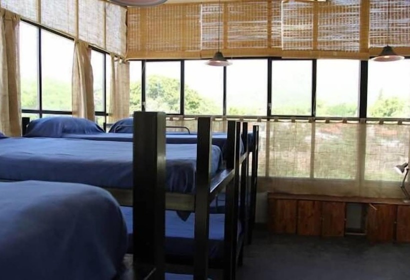 Casa Latina   Hostel