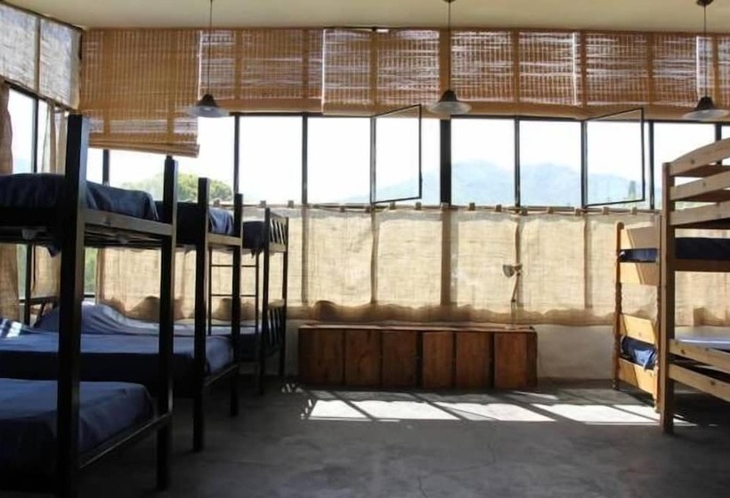 Casa Latina   Hostel