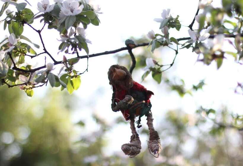 Casa Latina   Hostel