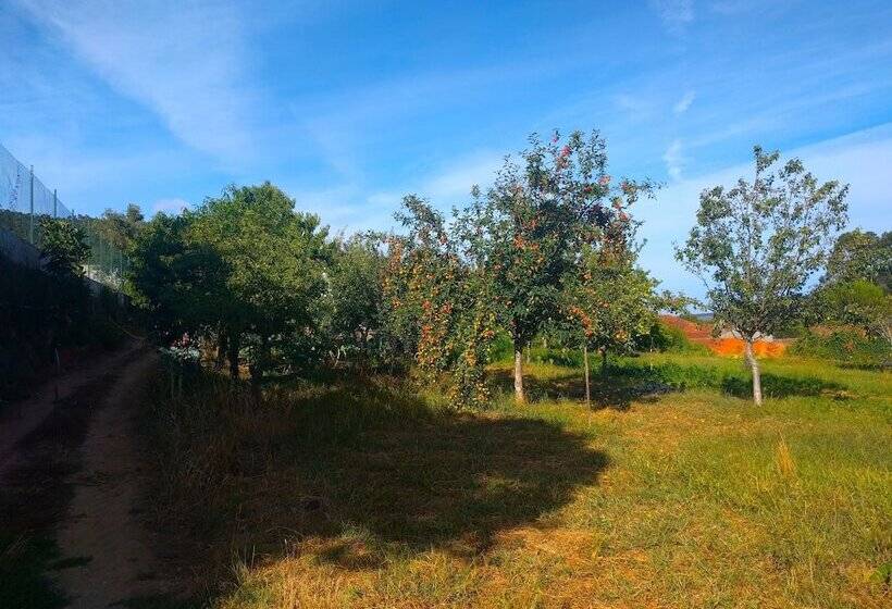 Confortable Countryside House