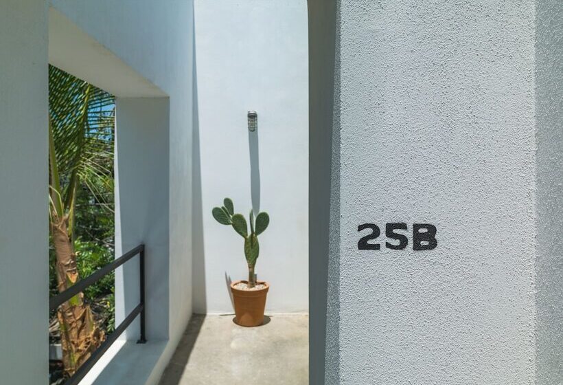 Drift San Jose Del Cabo, A Member Of Design Hotels