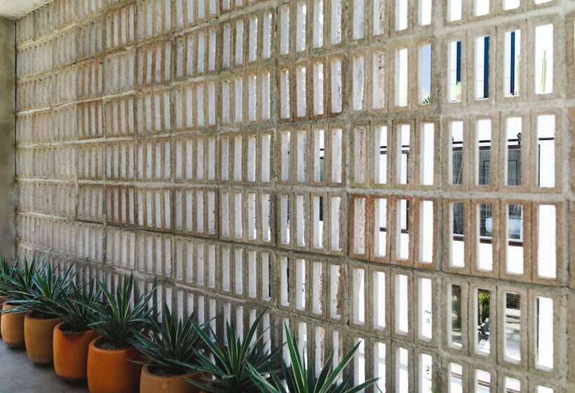 Drift San Jose Del Cabo, A Member Of Design Hotels