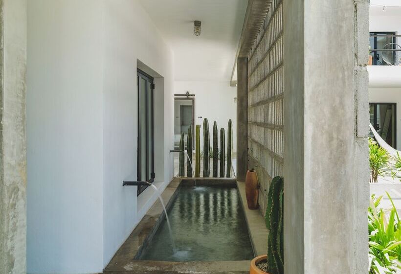 Drift San Jose Del Cabo, A Member Of Design Hotels