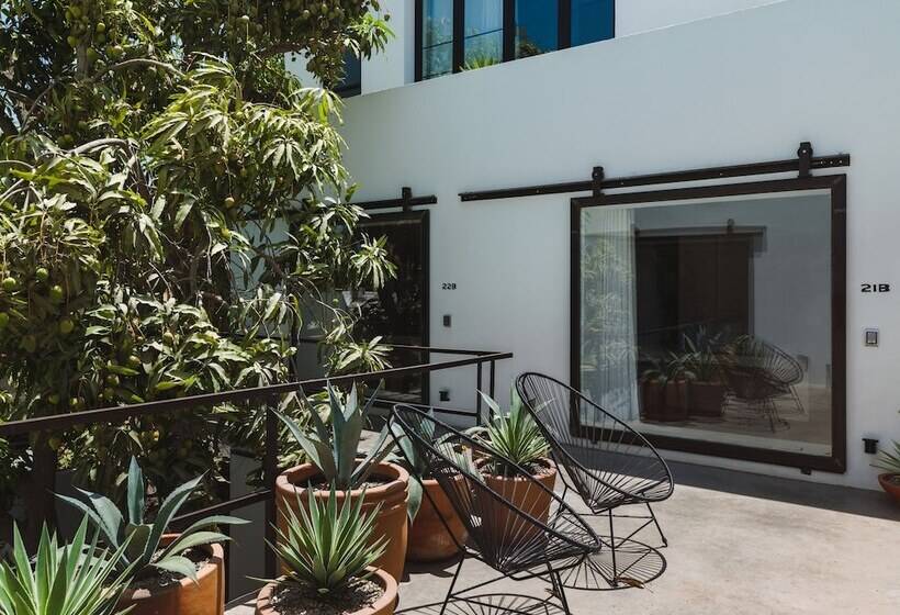 Drift San Jose Del Cabo, A Member Of Design Hotels