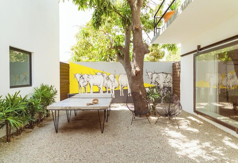 Drift San Jose Del Cabo, A Member Of Design Hotels