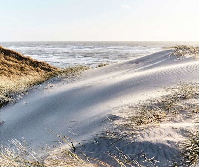 Drivethru Bed & Breakfast Hvide Sande