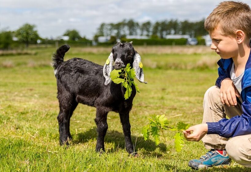 Feddet Strand Resort