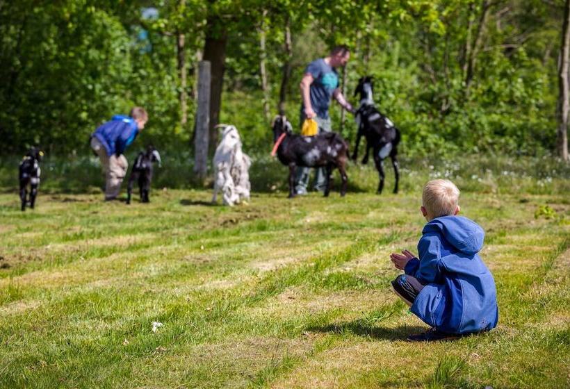 Feddet Strand Resort