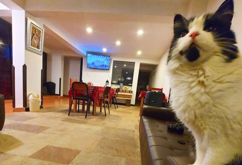 فندق فئة نجمة واحدة Apu Wasi