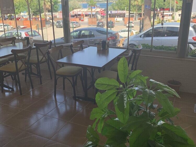 בית מלון כפרי Aladin