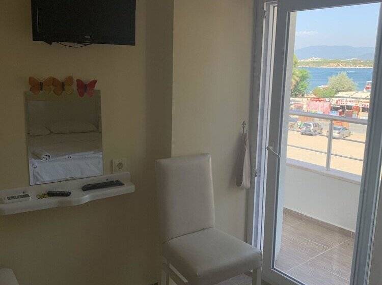 בית מלון כפרי Aladin