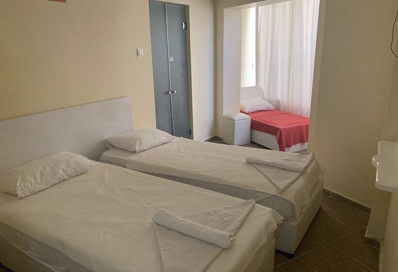 בית מלון כפרי Aladin