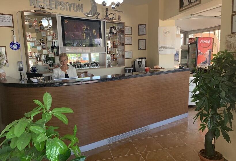 בית מלון כפרי Aladin