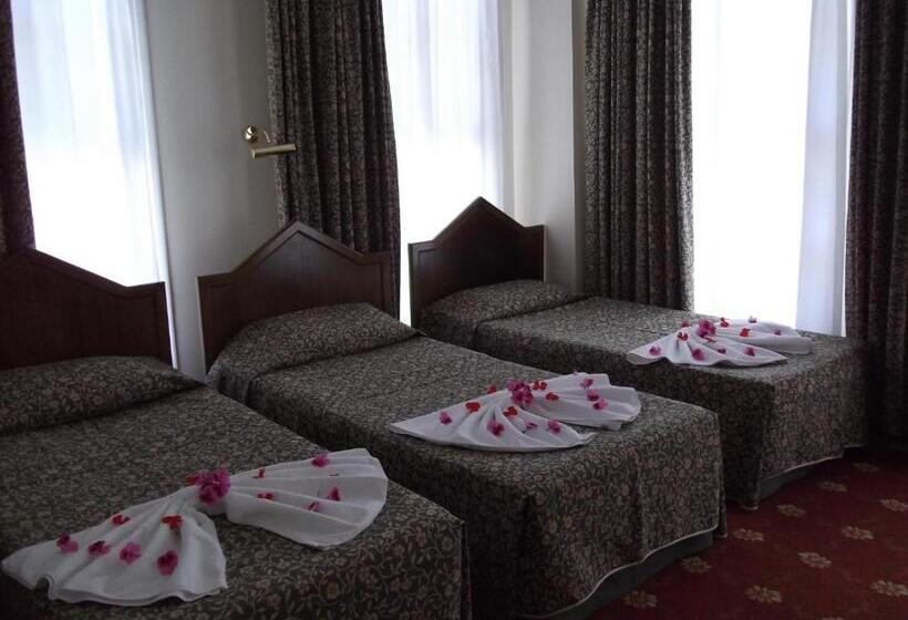 ホテル Antik Ridvan