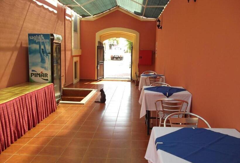 ホテル Antik Ridvan