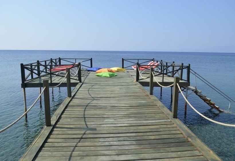 בית מלון כפרי Assos Sardunya Butik