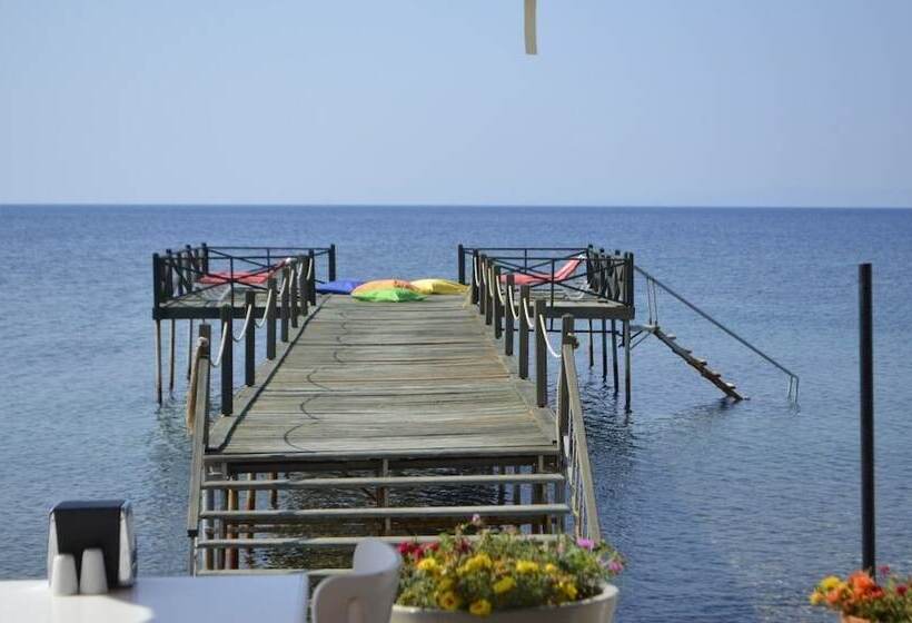 בית מלון כפרי Assos Sardunya Butik