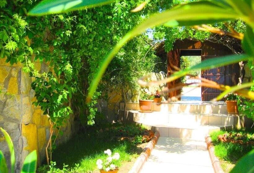 בית מלון כפרי Assos Sardunya Butik