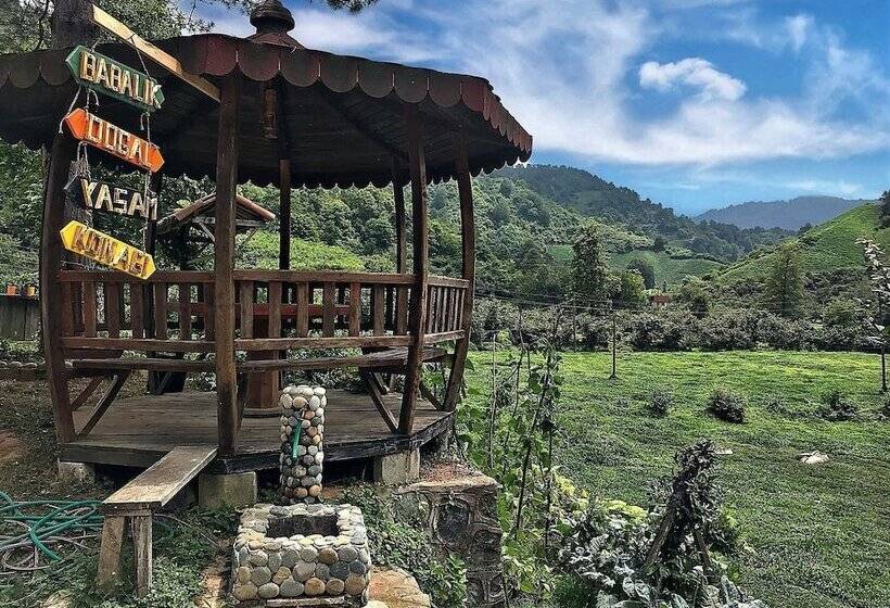 בית מלון כפרי Babalik Dogal Yasam Konagi