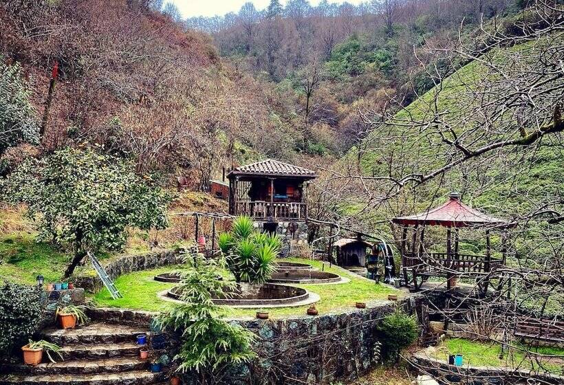 ホテル Babalik Dogal Yasam Konagi