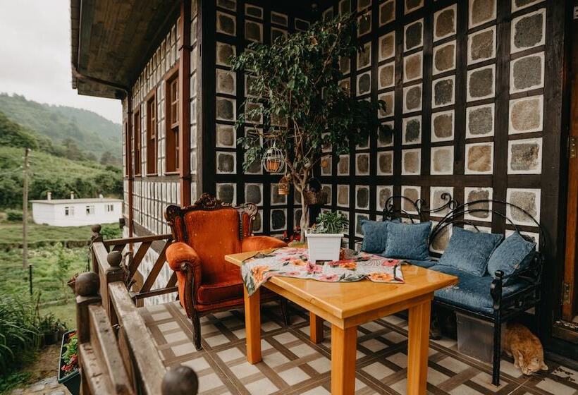 בית מלון כפרי Babalik Dogal Yasam Konagi