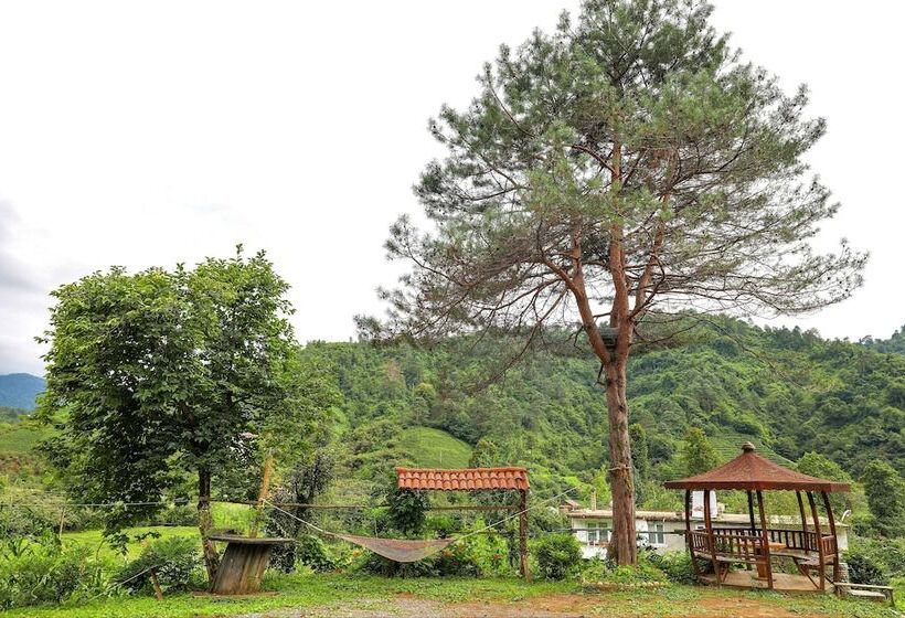 בית מלון כפרי Babalik Dogal Yasam Konagi