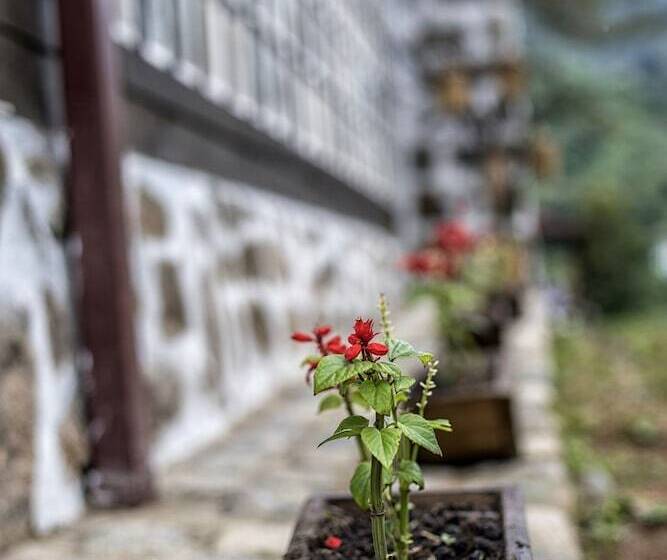 בית מלון כפרי Babalik Dogal Yasam Konagi