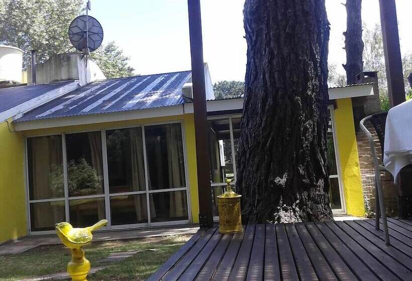 호텔 Cable A Tierra