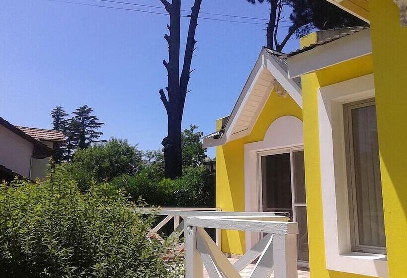 ホテル Cable A Tierra