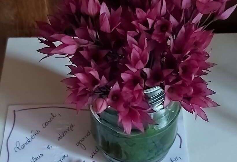 בית מלון כפרי Chalés De Penha   Natureza E Beto Carrero