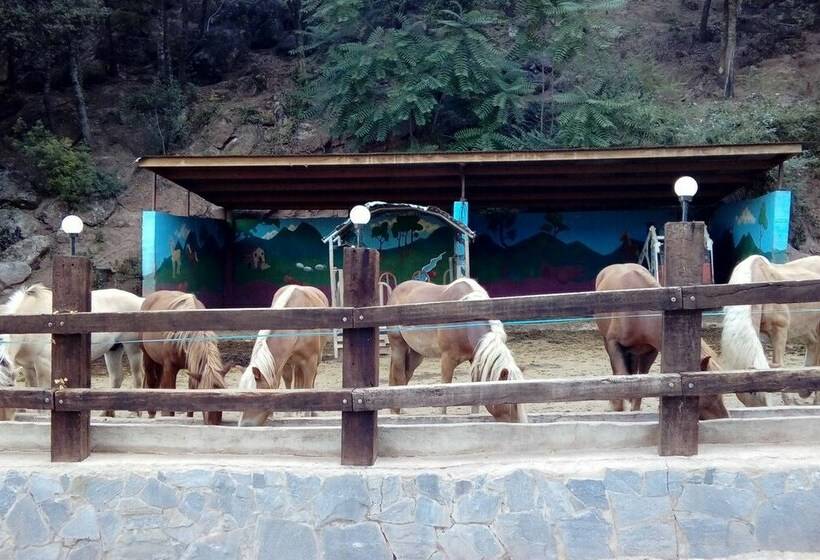 酒店 Camping Manso Coguleras