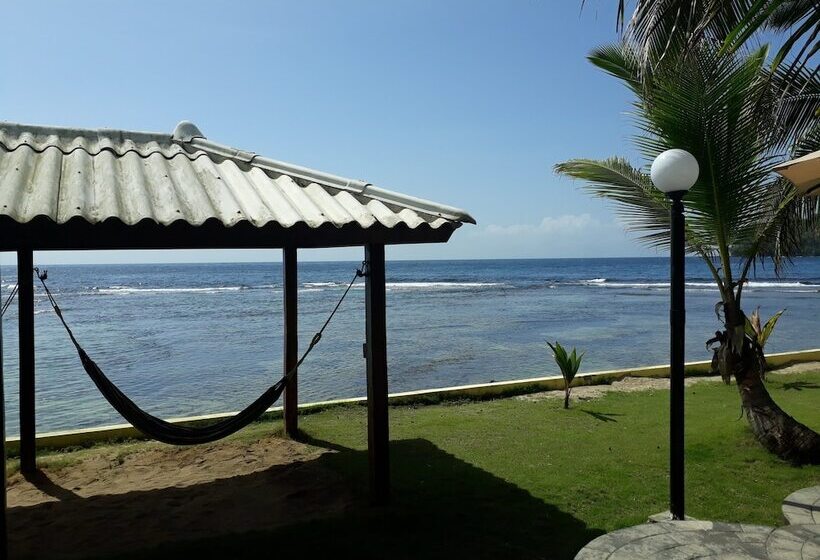 فندق Coconut Grove Lodge