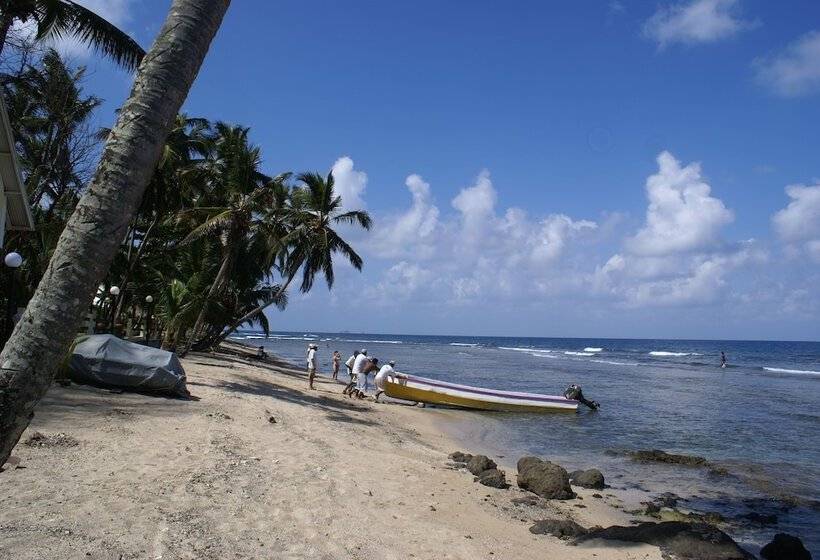 فندق Coconut Grove Lodge