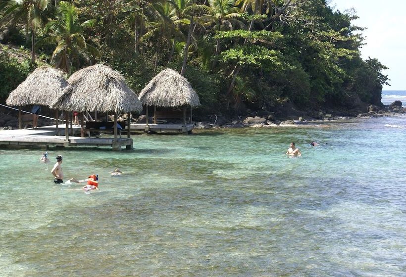 فندق Coconut Grove Lodge