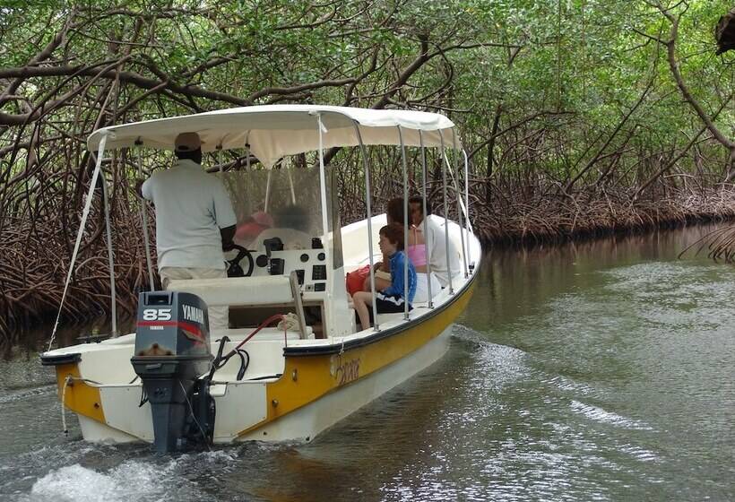 فندق Coconut Grove Lodge