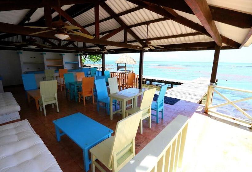 فندق Coconut Grove Lodge