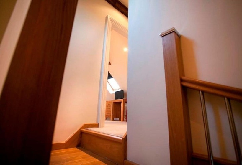 Отель Dbs Serviced Apartments The Delven