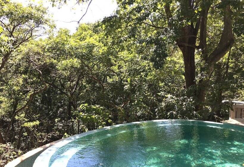 ホテル Driftwood Glamping And Boutique