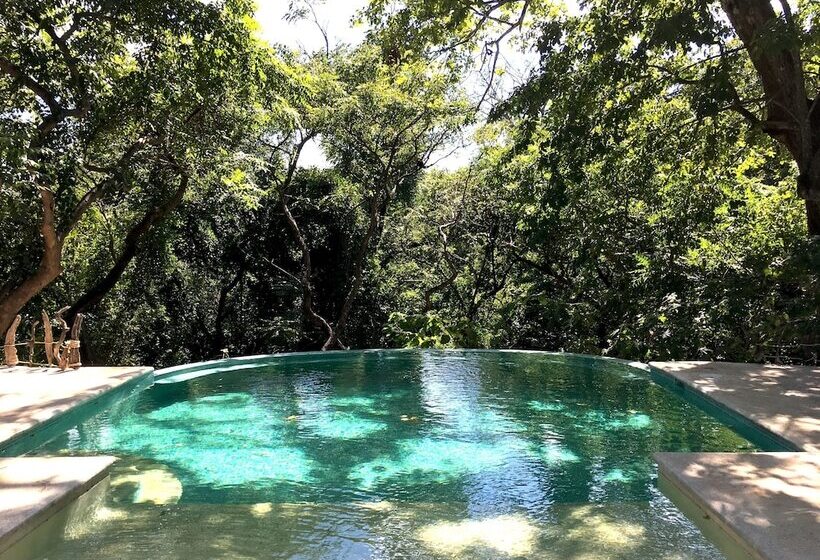 ホテル Driftwood Glamping And Boutique